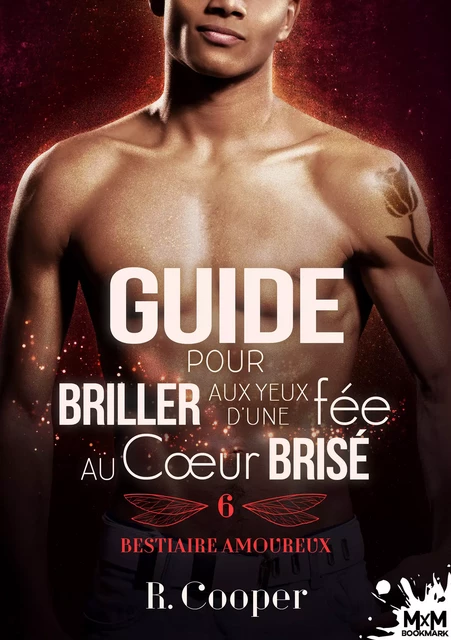 Guide pour briller aux yeux d'une fée au cœur brisé - R. Cooper - MxM Bookmark