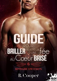 Guide pour briller aux yeux d'une fée au cœur brisé