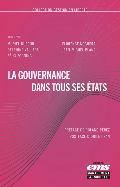 La gouvernance dans tous ses états - Muriel Dufour, Florence NOGUERA, Delphine Vallade, Jean-Michel Plane, Félix Zogning - Éditions EMS