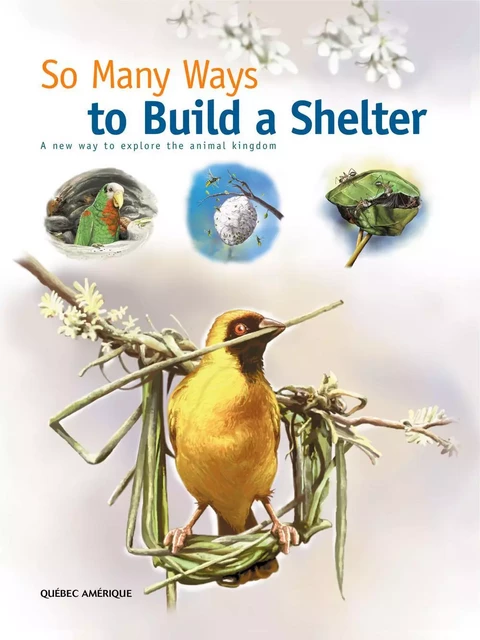 So Many Ways to Build a Shelter -  QA international Collectif - Québec Amérique