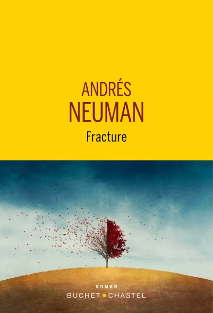 Fracture - Andres Neuman - Libella