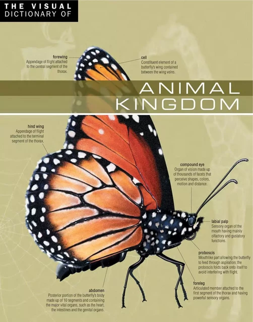 The Visual Dictionary of Animal Kingdom - Ariane Archambault, Jean-Claude Corbeil - Québec Amérique