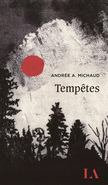 Tempêtes - Andrée A. Michaud - Québec Amérique