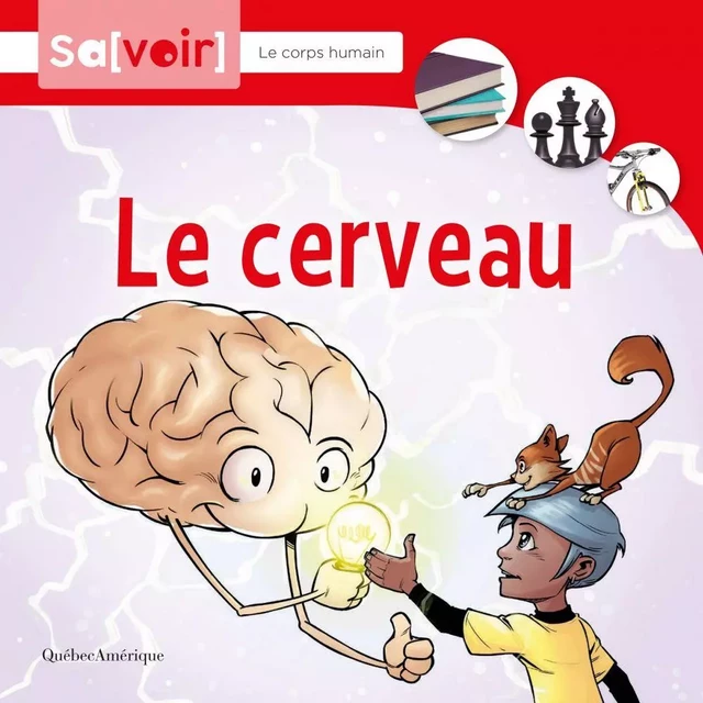 Le cerveau - Collectif d'auteurs Québec Amérique - Québec Amérique