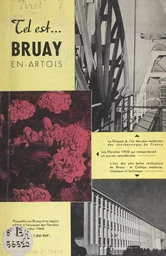 Bruay-en-Artois et sa région