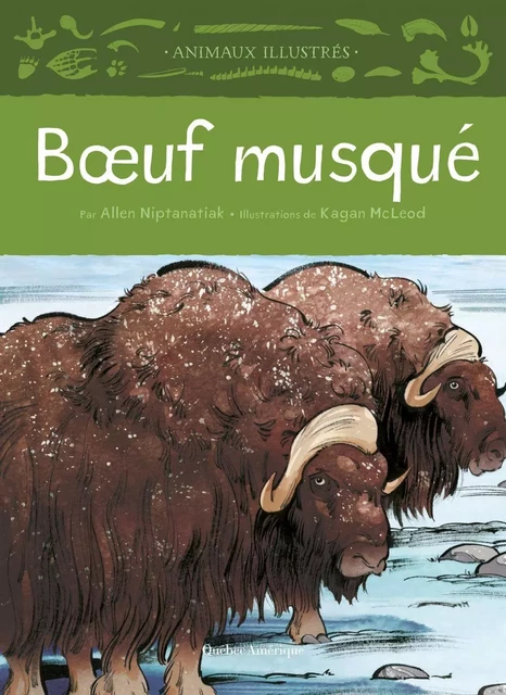 Bœuf musqué - Allen Niptanatiak - Québec Amérique