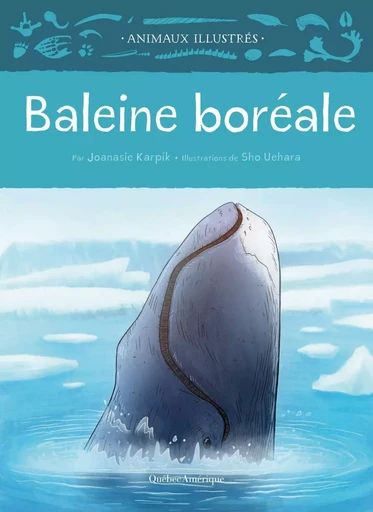 Baleine boréale - Joanasie Karpik - Québec Amérique