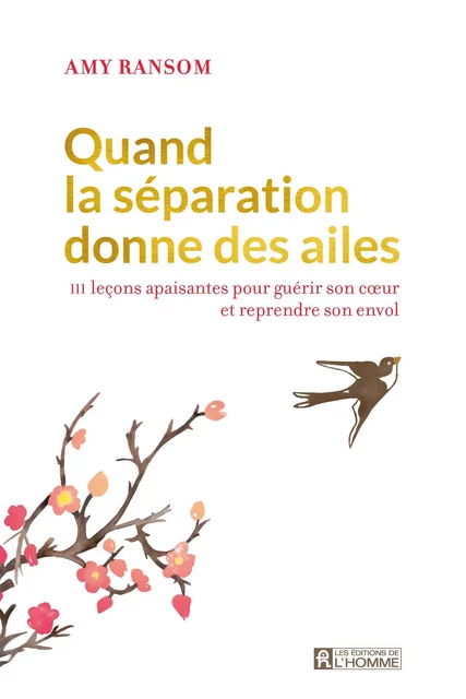 Quand la séparation donne des ailes - Amy Ransom - Les Éditions de l'Homme