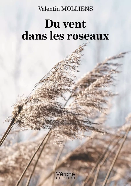 Du vent dans les roseaux - Valentin Molliens - Editions Vérone