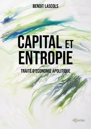 Capital et entropie