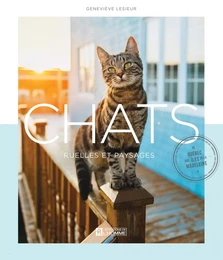 Chats, ruelles et paysages