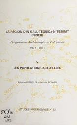 La région d'In Gall-Tegidda-n-Tesemt (5)