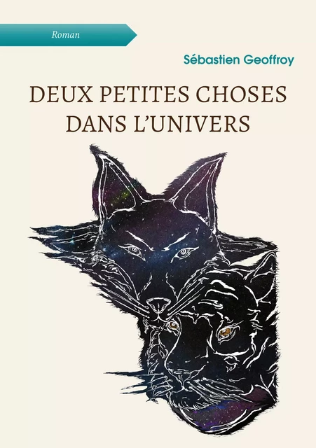 Deux petites choses dans l’univers - Sébastien Geoffroy - Atramenta