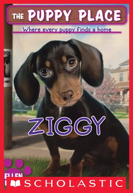 Ziggy (The Puppy Place #21) - Ellen Miles - Scholastic Inc.