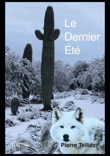 Le Dernier Été - Pierre Telliez - Editions Edilivre