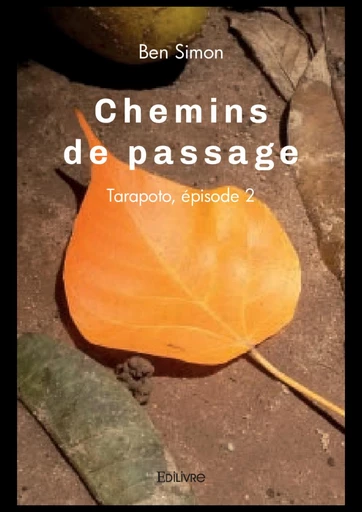 Chemins de passage, Tarapoto - Ben Simon - Editions Edilivre