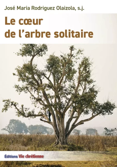 Le cœur de l'arbre solitaire - José Maria Rodriguez Olaizola, S.J., Nathalie André - Vie Chrétienne