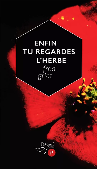 Enfin tu regardes l'herbe - Fred Griot - publie.net