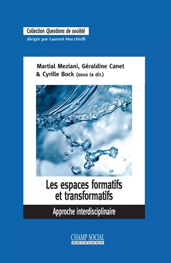 Les espaces formatifs et transformatifs. Approche interdisciplinaire - Martial Meziani, Géraldine Canet, Cyrille Bock - Champ social Editions