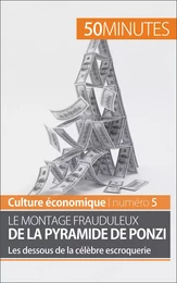 Le montage frauduleux de la pyramide de Ponzi