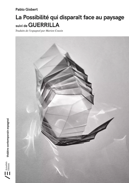 La Possibilité qui disparaît face au paysage suivi de GUERRILLA - Pablo Gisbert - Actualités Éditions