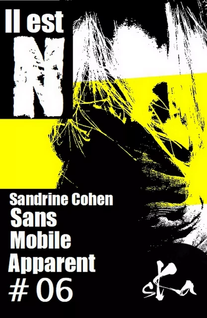 Sans mobile apparent # 6 - Sandrine Cohen - SKA