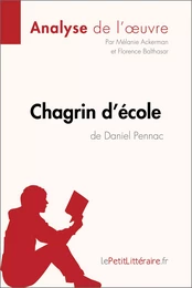 Chagrin d'école de Daniel Pennac (Analyse de l'oeuvre)