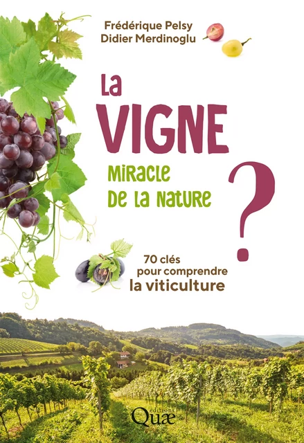 La vigne, miracle de la nature ? - Frédérique Pelsy, Didier Merdinoglu - Quae