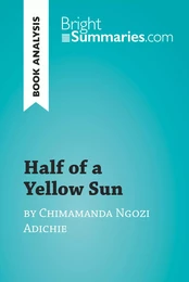 Half of a Yellow Sun by Chimamanda Ngozi Adichie (Book Analysis)