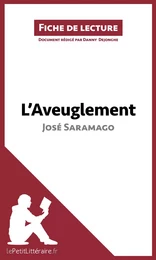 L'Aveuglement de José Saramago (Fiche de lecture)