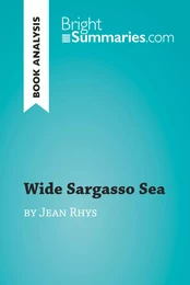 Wide Sargasso Sea by Jean Rhys (Book Analysis)