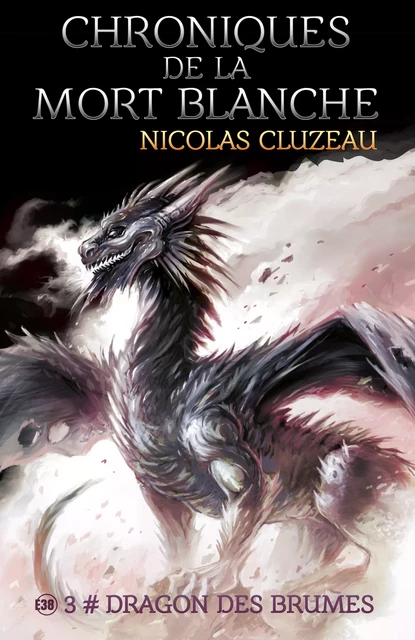 Dragon des brumes - Nicolas Cluzeau - Les éditions du 38