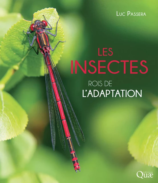 Les insectes, rois de l'adaptation - Luc Passera - Quae