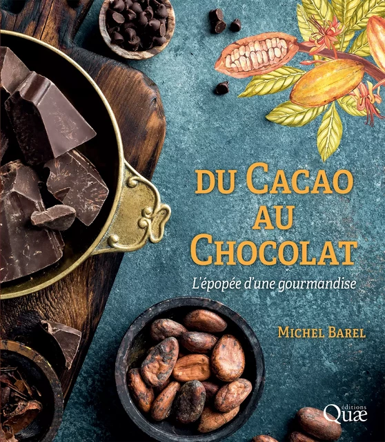 Du cacao au chocolat - Michel Barel - Quae