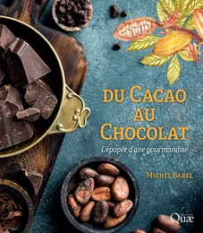 Du cacao au chocolat