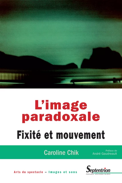 L'image paradoxale - Caroline Chik - Presses Universitaires du Septentrion