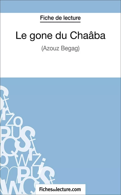 Le gone du Chaâba - Vanessa Grosjean,  fichesdelecture.com - FichesDeLecture.com