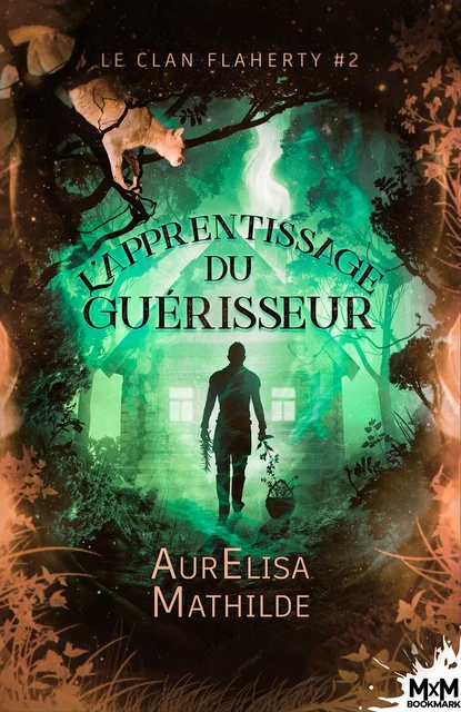 L'apprentissage du guérisseur - AurElisa Mathilde - MxM Bookmark