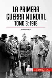 La Primera Guerra Mundial. Tomo 3