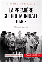 La Première Guerre mondiale (Tome 3)