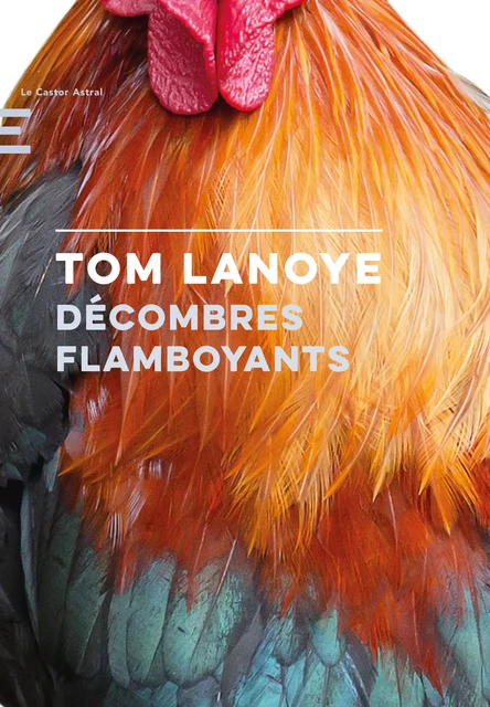 Décombres Flamboyants - Tom Lanoye - Le Castor Astral éditeur