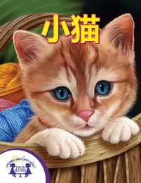 小猫咪