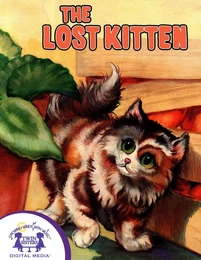 The Lost Kitten