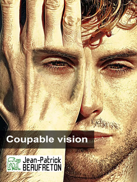 Coupable vision - Jean-Patrick Beaufreton - La Piterne