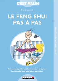 Le Feng Shui pas à pas, c’est malin