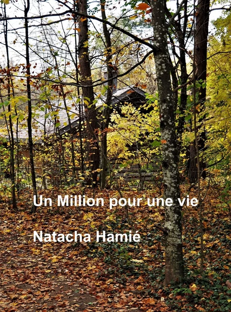 Un million pour une vie - Natacha Hamié - Librinova