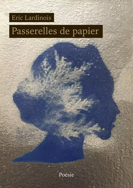 Passerelles de papier - Eric Lardinois - Librinova