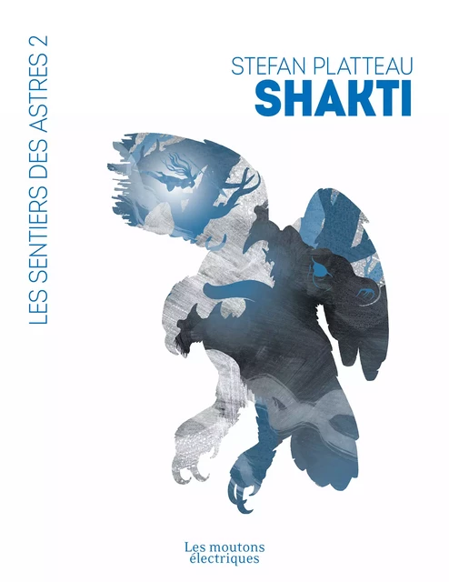 Shakti - Stefan Platteau - Les Moutons Électriques