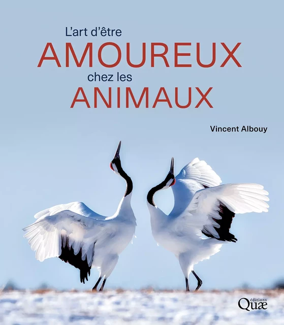 L'art d'être amoureux chez les animaux - Vincent Albouy - Quae