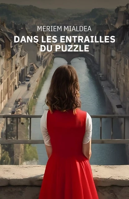 Dans les entrailles  du puzzle - Meriem Mialdea - Librinova